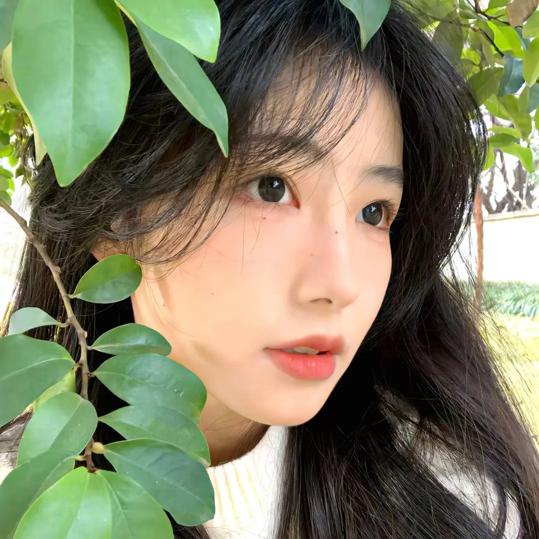 穿梭古今从今天开始黑化